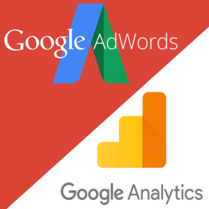 Combo Curso de Google Adwords e Google Analytics