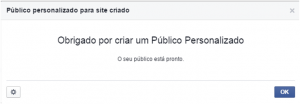 Público Criado com Sucesso - Como fazer remarketing no facebook